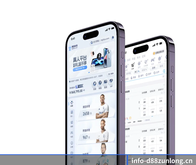 国际化进程